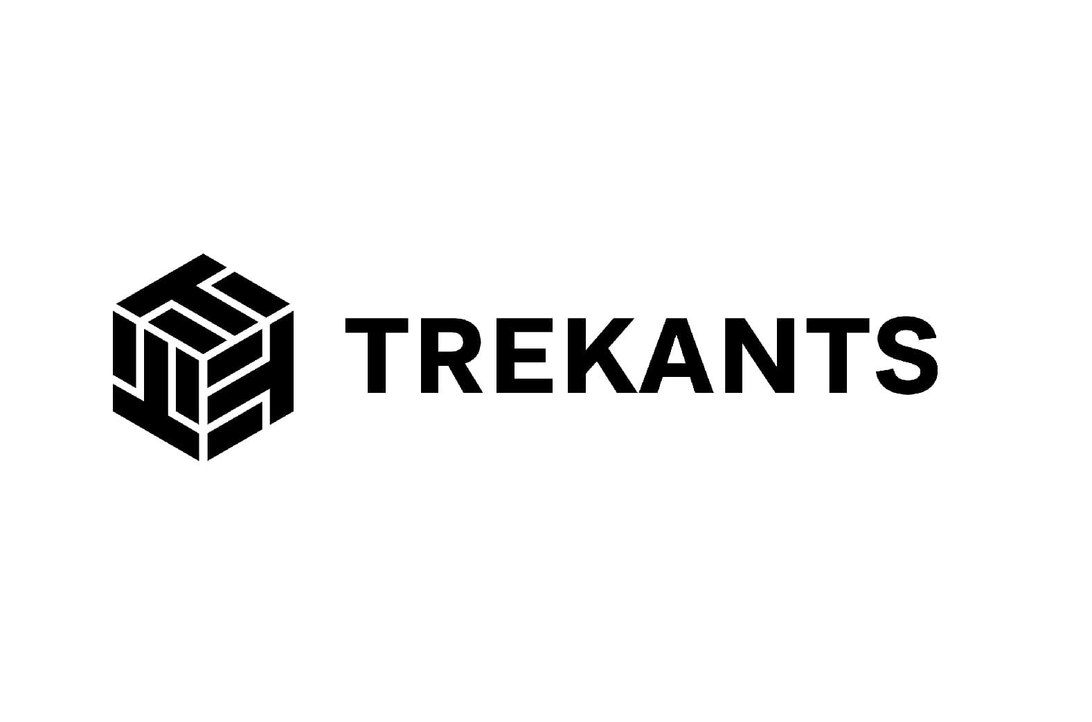 Trekants LOGO TURYK STUDIO CLIENT