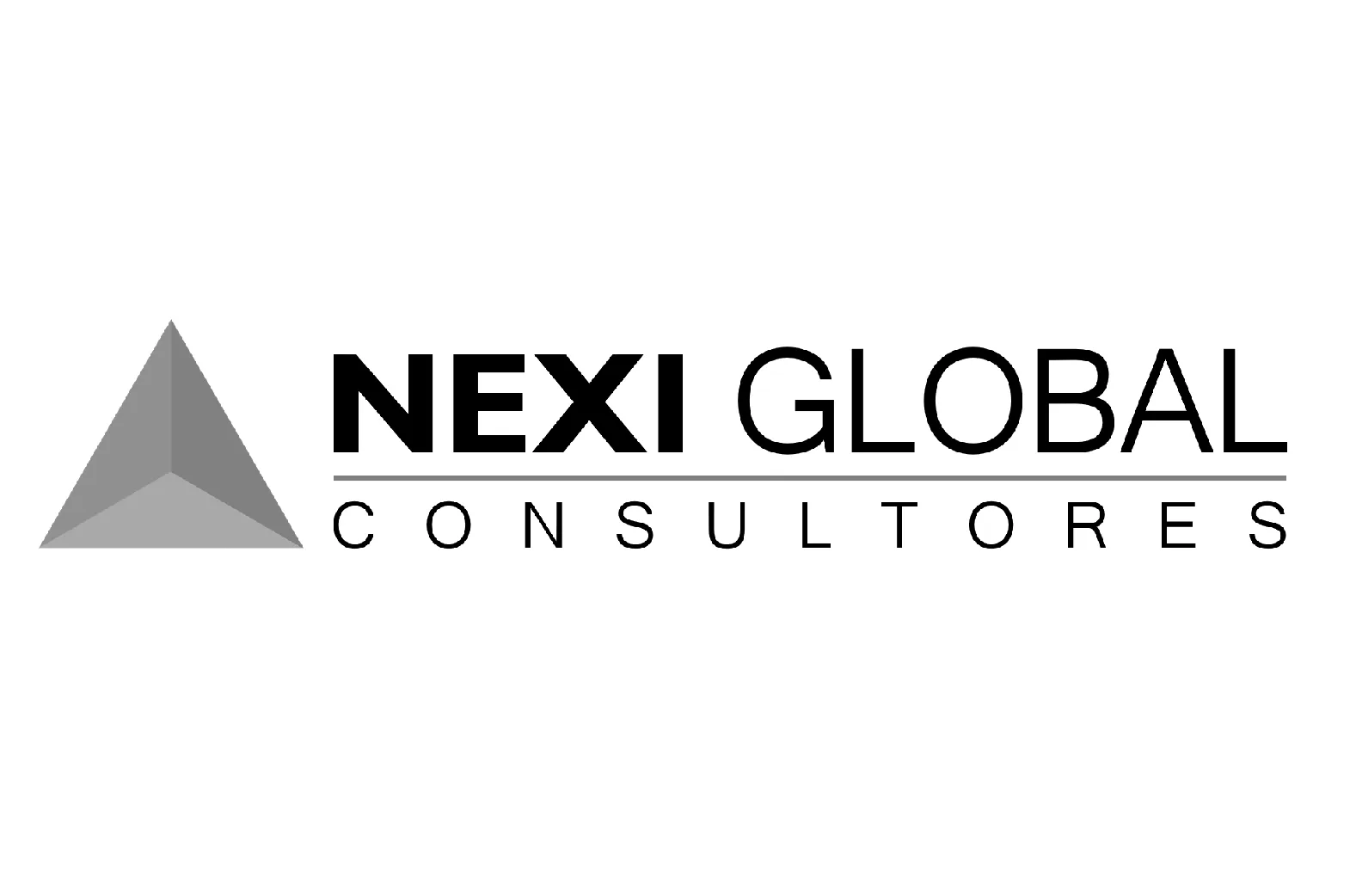 Nexi global LOGO TURYK STUDIO CLIENT