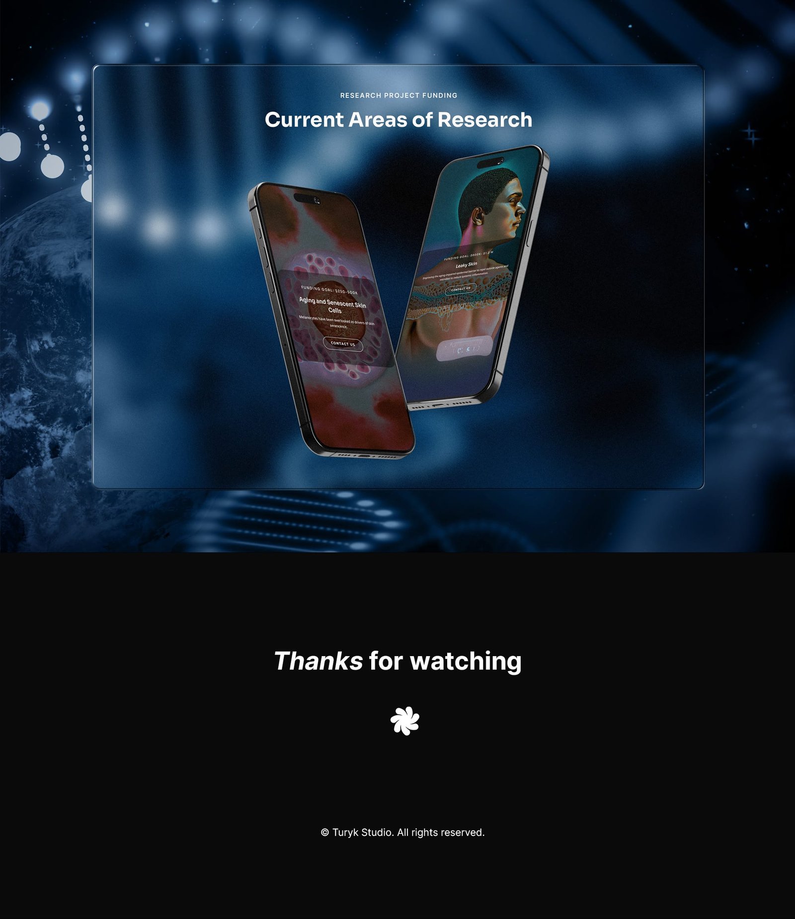 American inflammaging institute