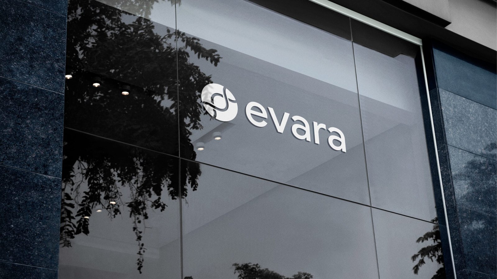 Evara Proyecto Branding