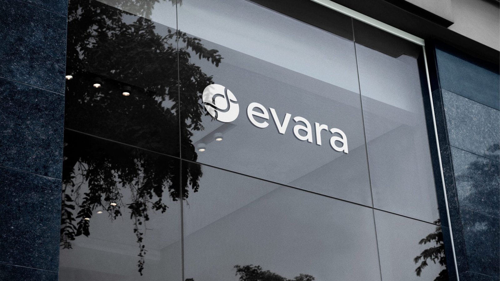 Evara Proyecto Branding
